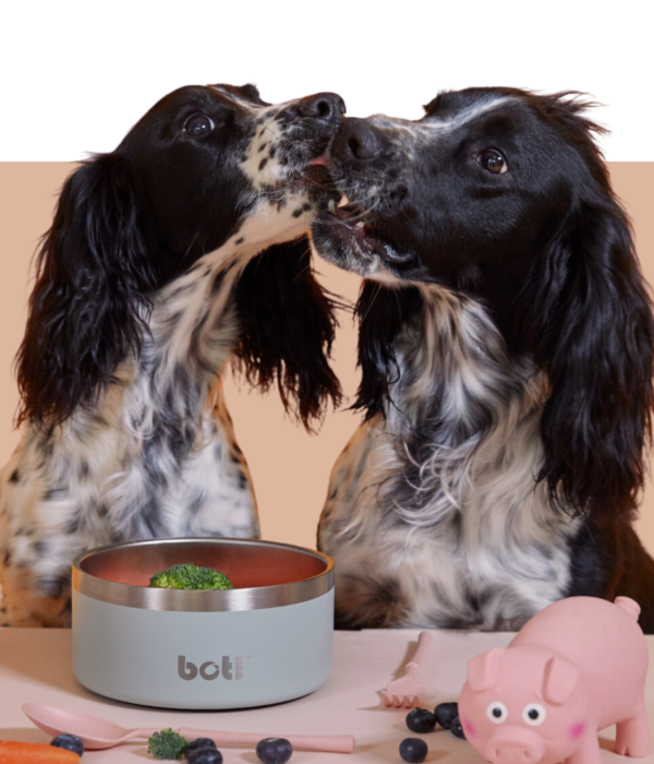 Stainless Steel Pet Bowls – Durable, Safe & Eco-Friendly